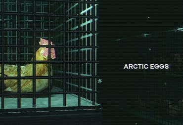 Arctic Eggs header image opinion piece