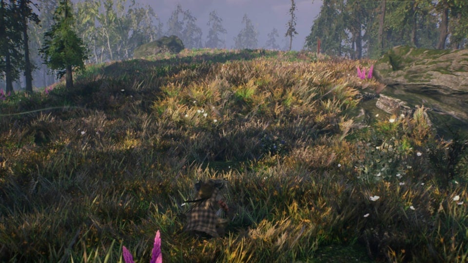 Aska Resources Guide - Cover Image Crouching in a Field with a Dwarf Spruce Flax and Berry Bush Nearby