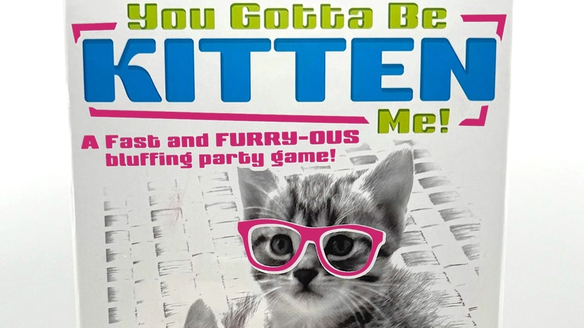 Promotional box artwork of the game You Gotta Be Kitten Me, featuring a black and white photo of kittens wearing pink glasses.