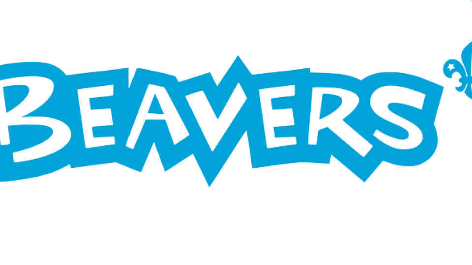 Beaver Scouts (The Scout Association).svg